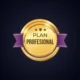 PROFESIONAL